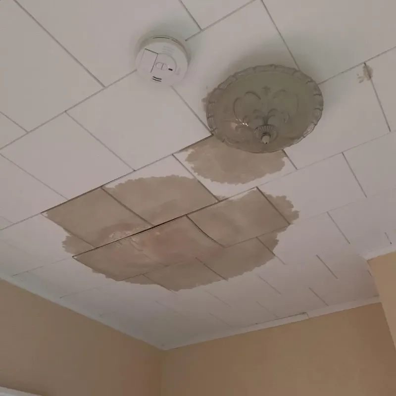 Ceiling Water Damage Repair in Coal Hill, AR