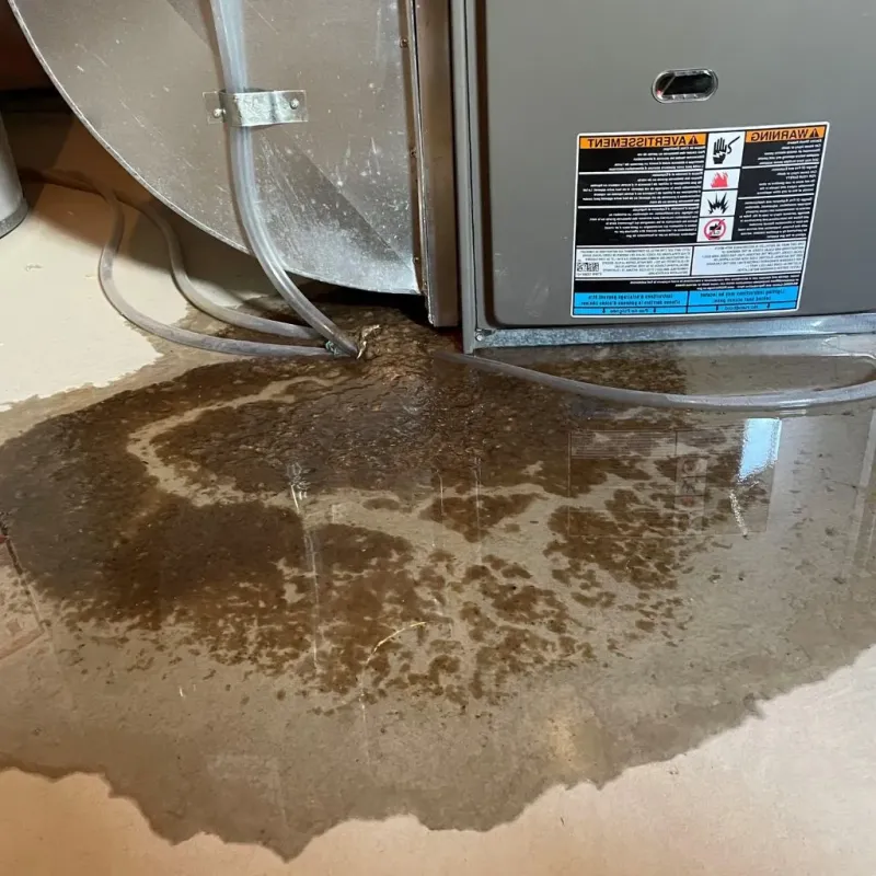 Pipe Burst and Leak Restoration in Coal Hill, AR