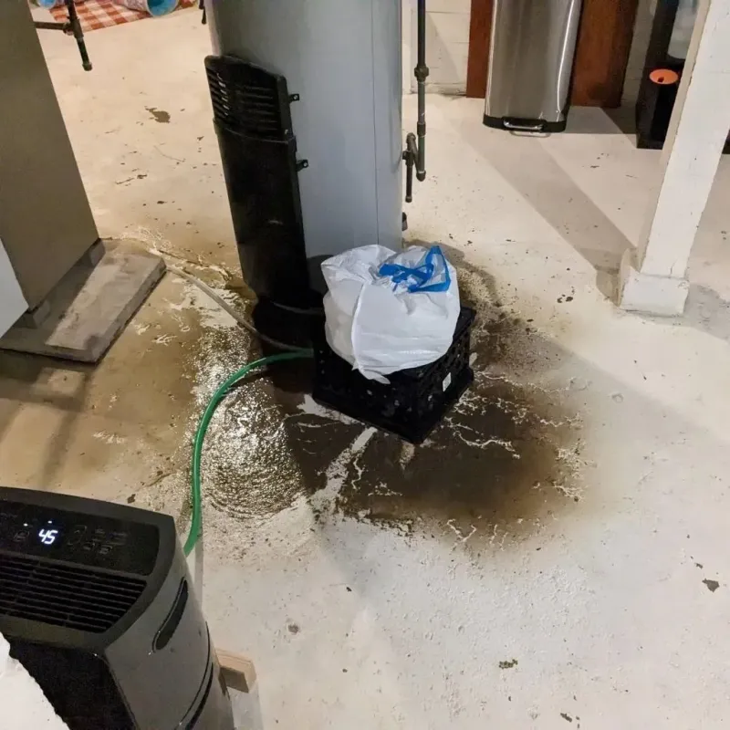 Sewage Backup Cleanup Service in Coal Hill, AR